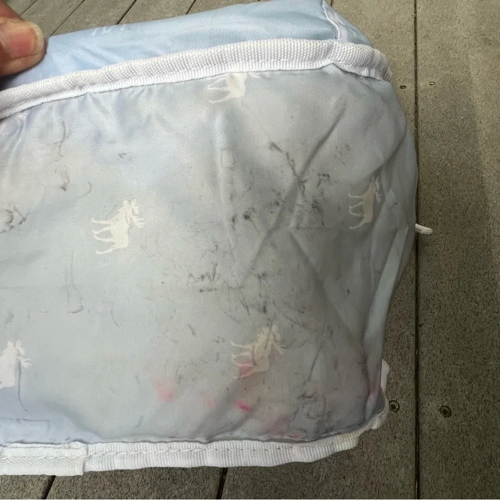 Abercrombie & Fitch Pastel Green Pink Girls‎ School Backpack Moose Charm